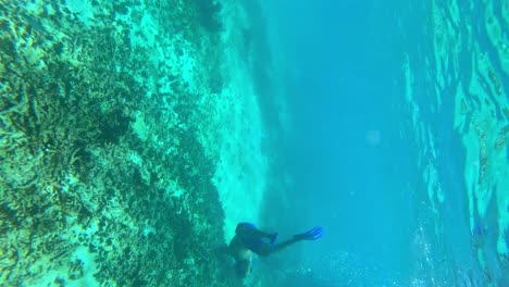 underwater snorkeling adventure