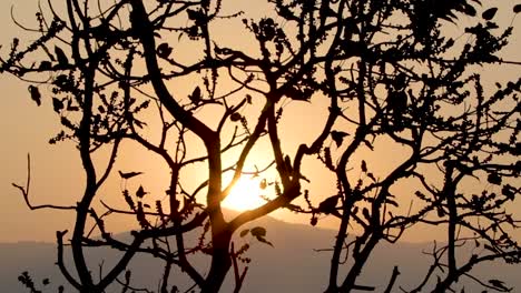 sol, tiro en bisle ghat ka india