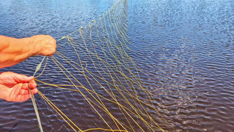 net being lifted from pond, person pulls fish from water in early morning light