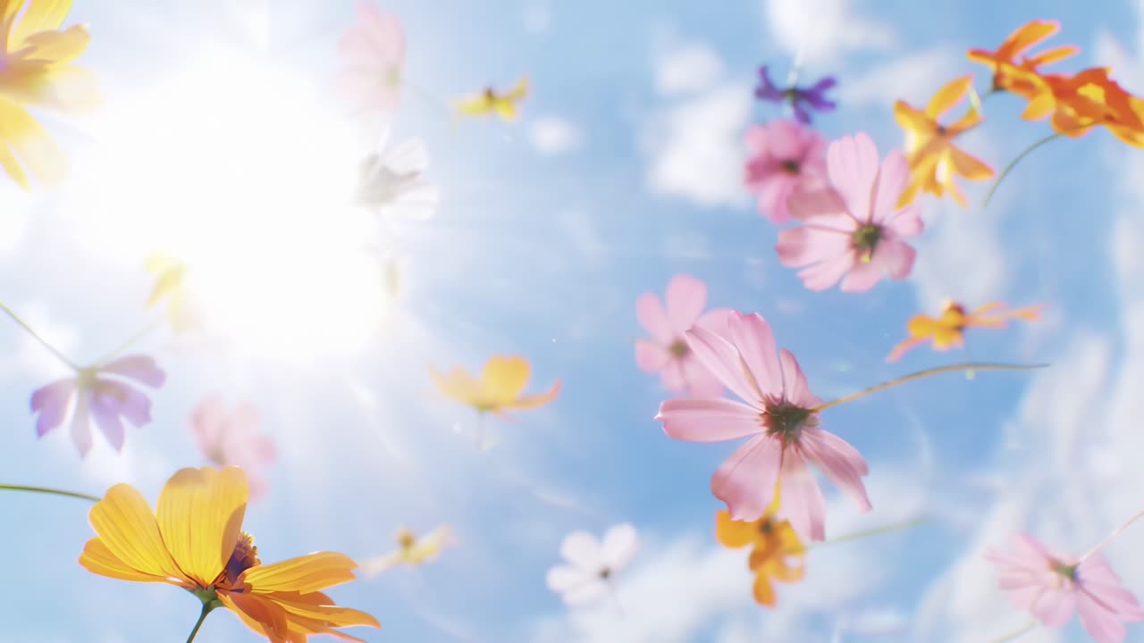 Ângulo de vídeo aéreo de flores coloridas flutuando contra um céu azul brilhante, capturando uma atmosfera sonhadora
