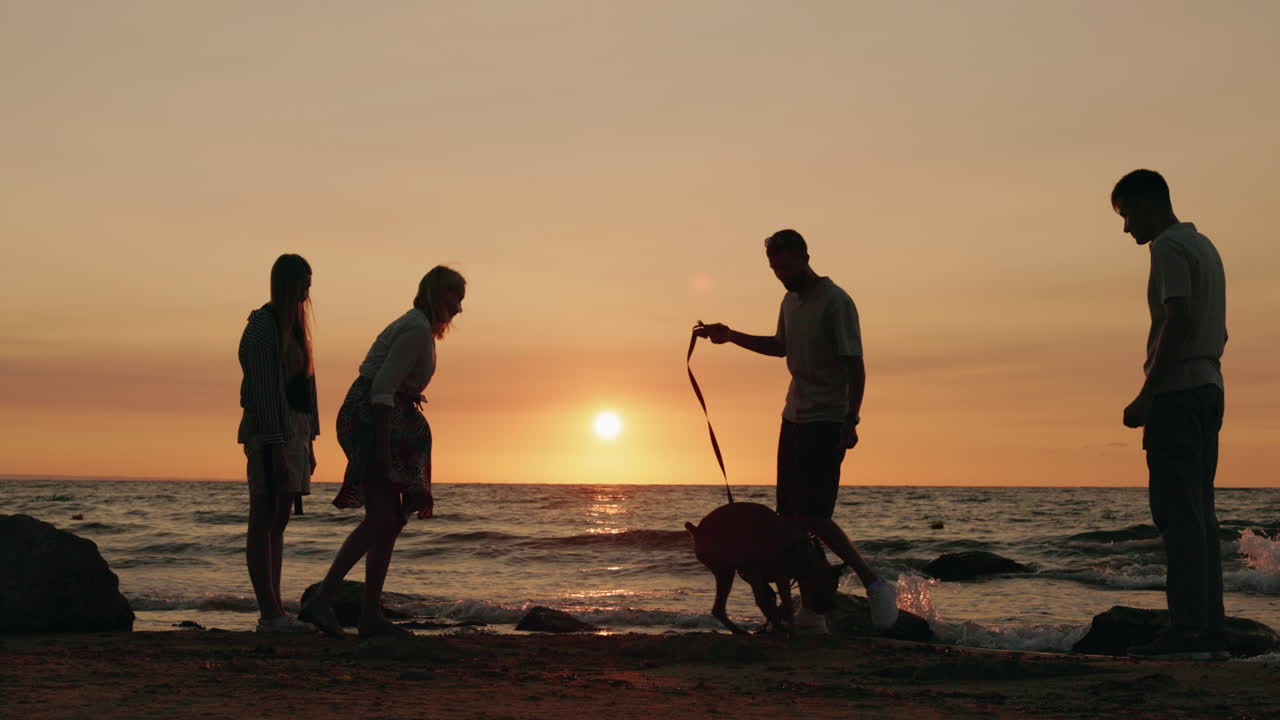 Silhouettes of people and a dog on a beach at sunset