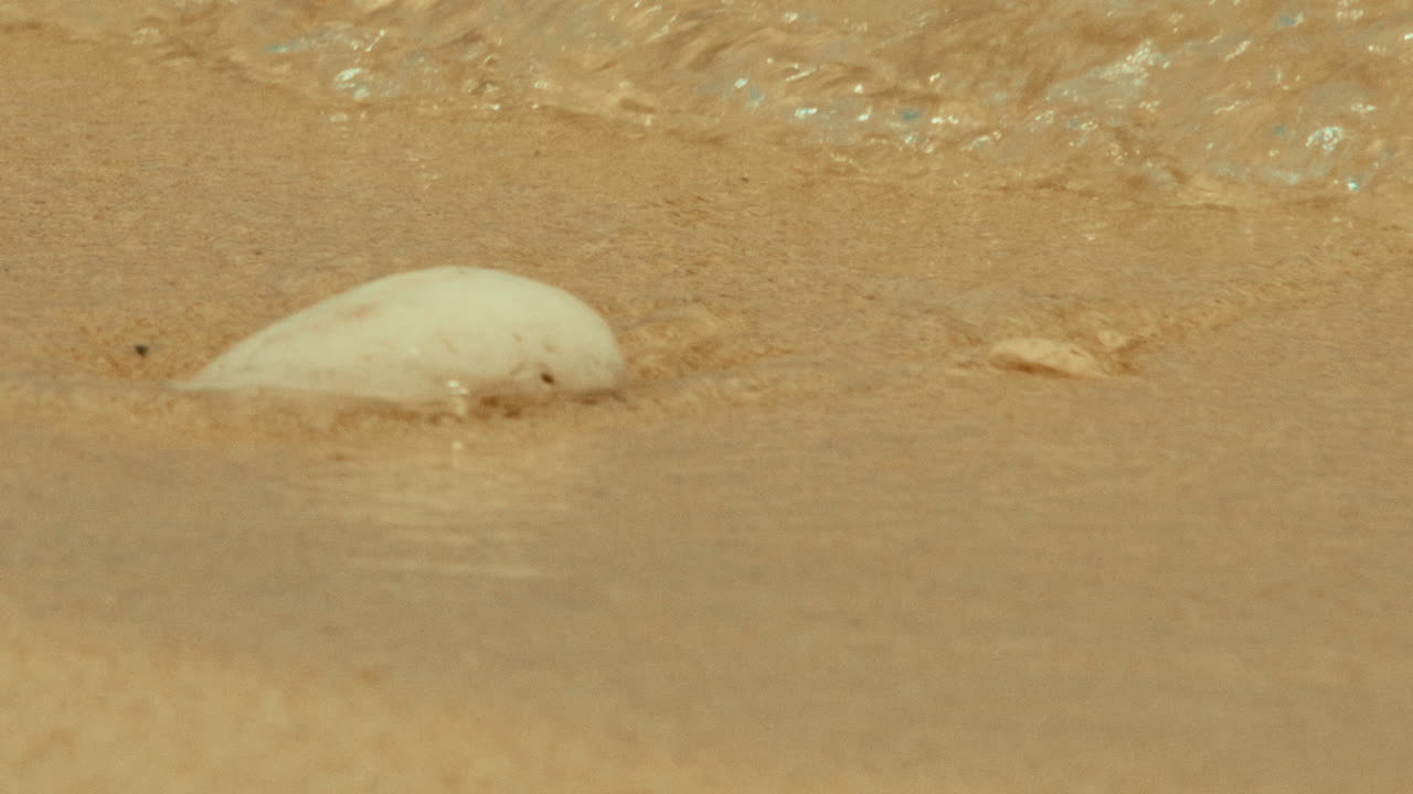 Beach Scene with Rock and Water
