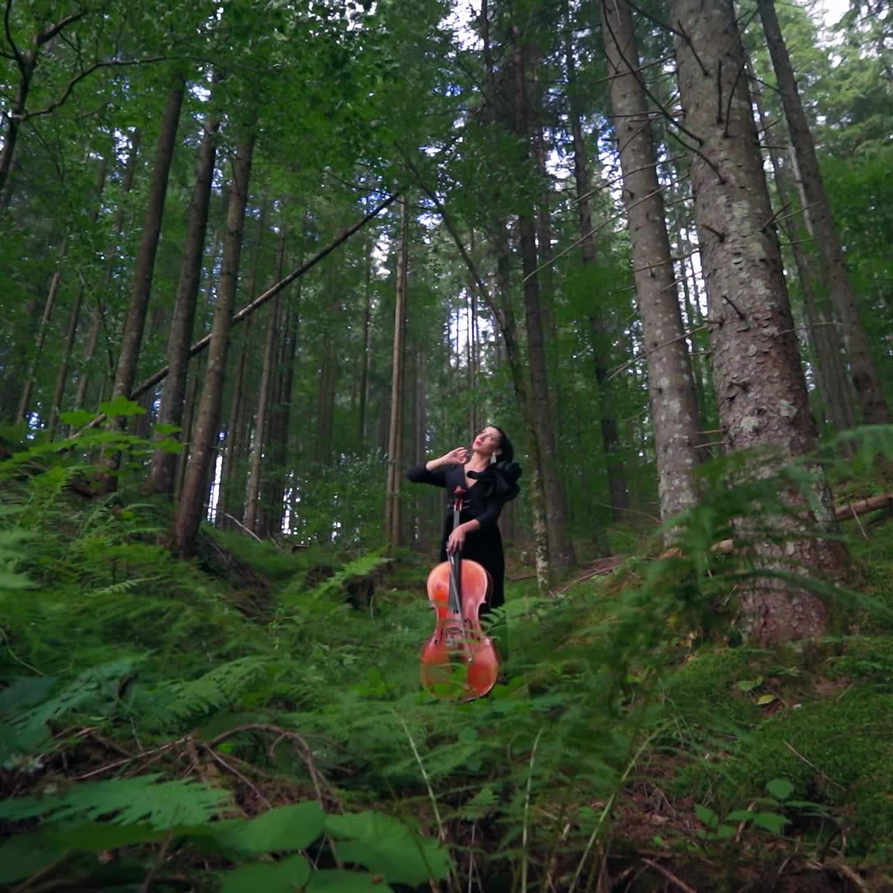 Musician with cello in forest