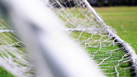 net goal post in the field