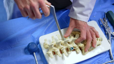doctor pinches off the little pieces of the spine model demonstrating the work of a tool. close up. neurosurgical operation practice. top view.