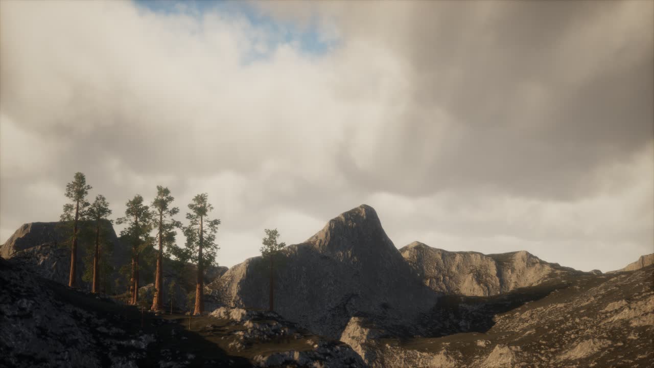 acantilado con árboles y la luz del sol