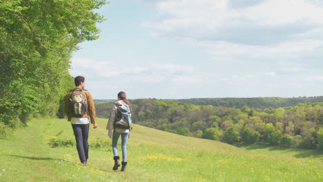 Rear-view-of-couple-with-backpacks-hiking-along-path-across-field--by-forest-in-countryside---shot-in-slow-motion