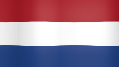 waving flag of netherlands looping background