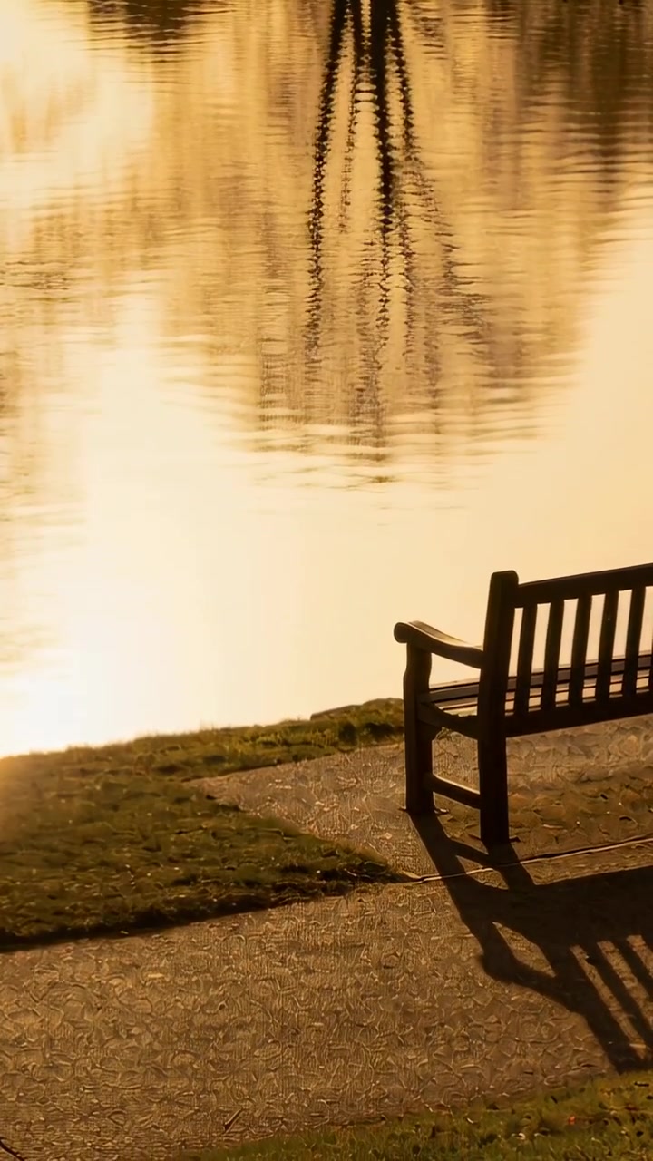 Vertical video: Shedding wooden bench shadow at park, pond rippling from sun and wind, copy space