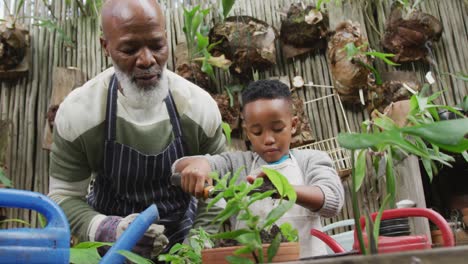 Happy-senior-african-american-man-with-his-grandson-potting-up-plants-in-garden