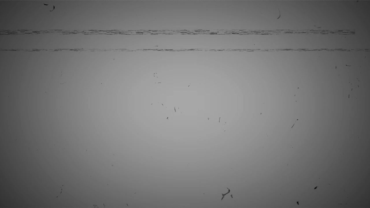 Retro Film Overlay with Dust and Scratches