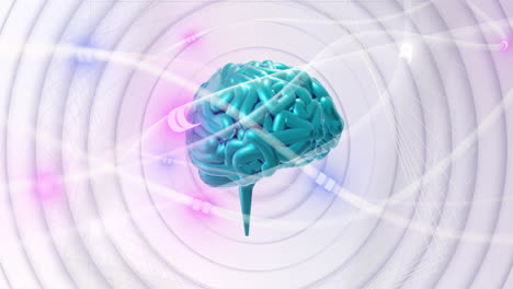 animation of digital brain spinning over connections