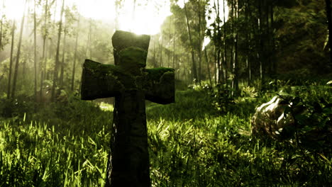 stone cross in a lush forest