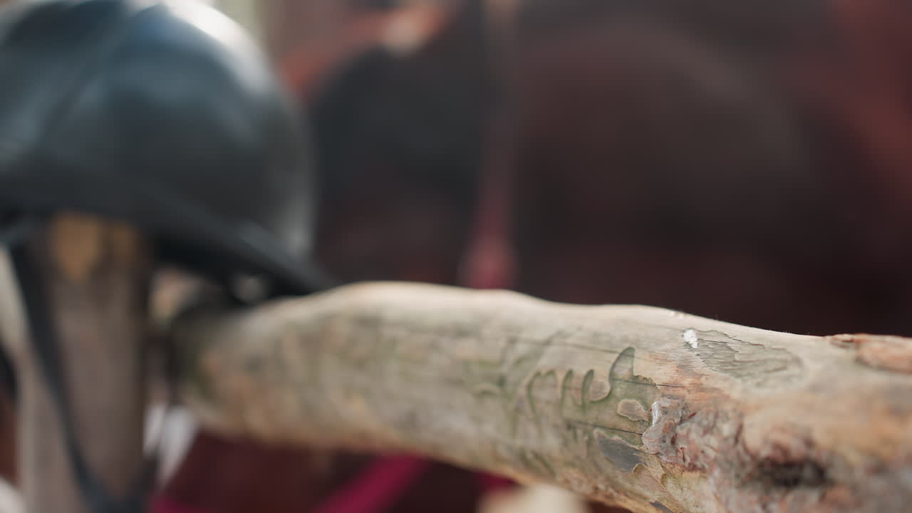 horse rider adjusts head covering, person carefully adjusts cloth on fence post before mounted journey, equestrian personalizing head covering while standing beside fence prior to riding adventure
