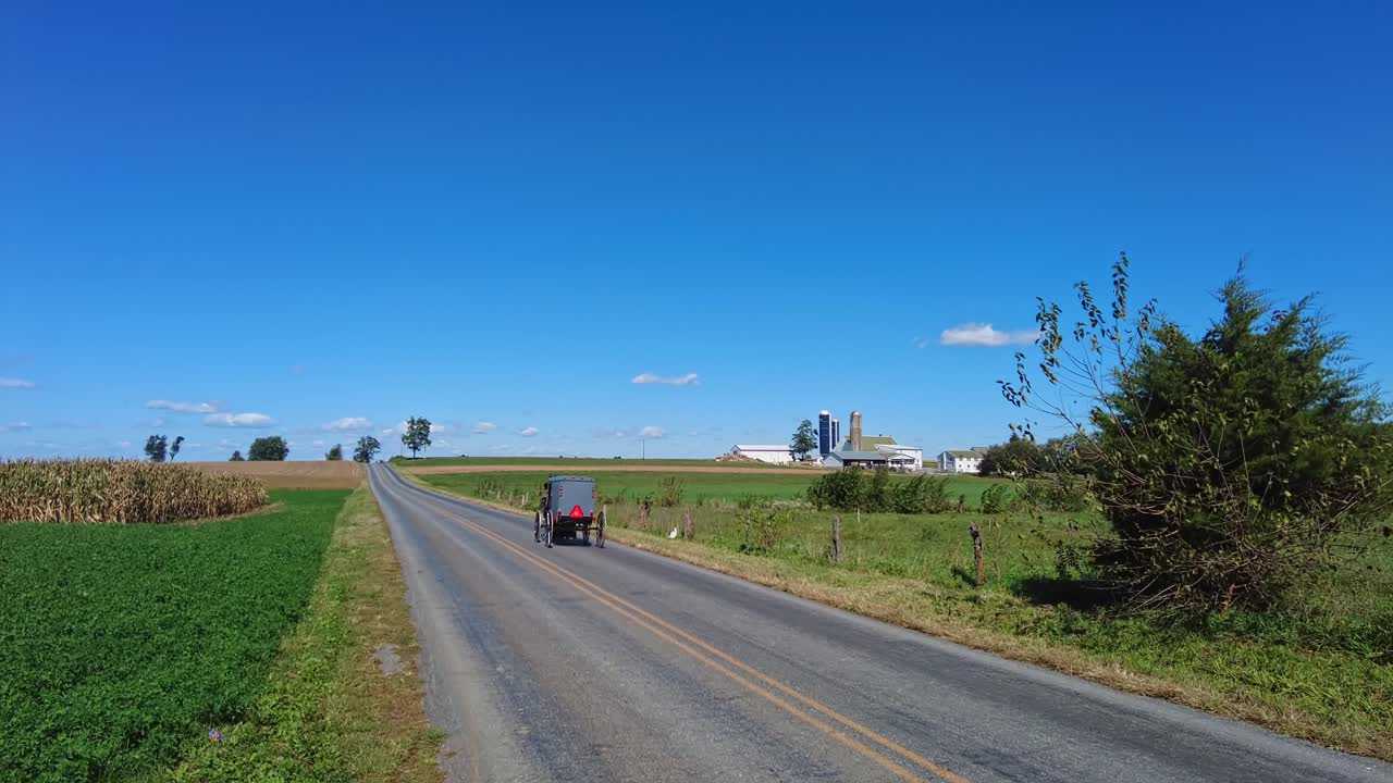 un caballo amish y un buggy trotando por una carretera rural en un hermoso día soleado