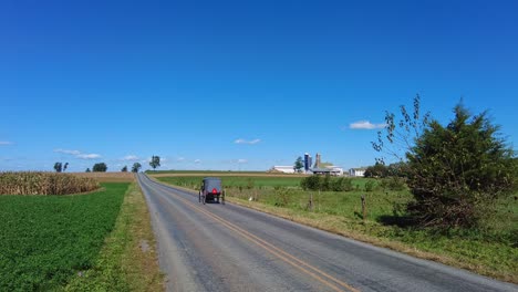 an amish horse and buggy trotting down a country road on a beautiful sunny day