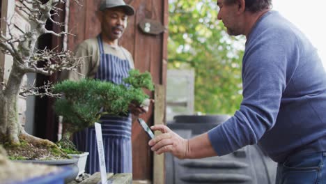 afroamerikanischer männlicher gärtner, der pflanzen verkauft und kontaktlose zahlungen im gartenzentrum verwendet