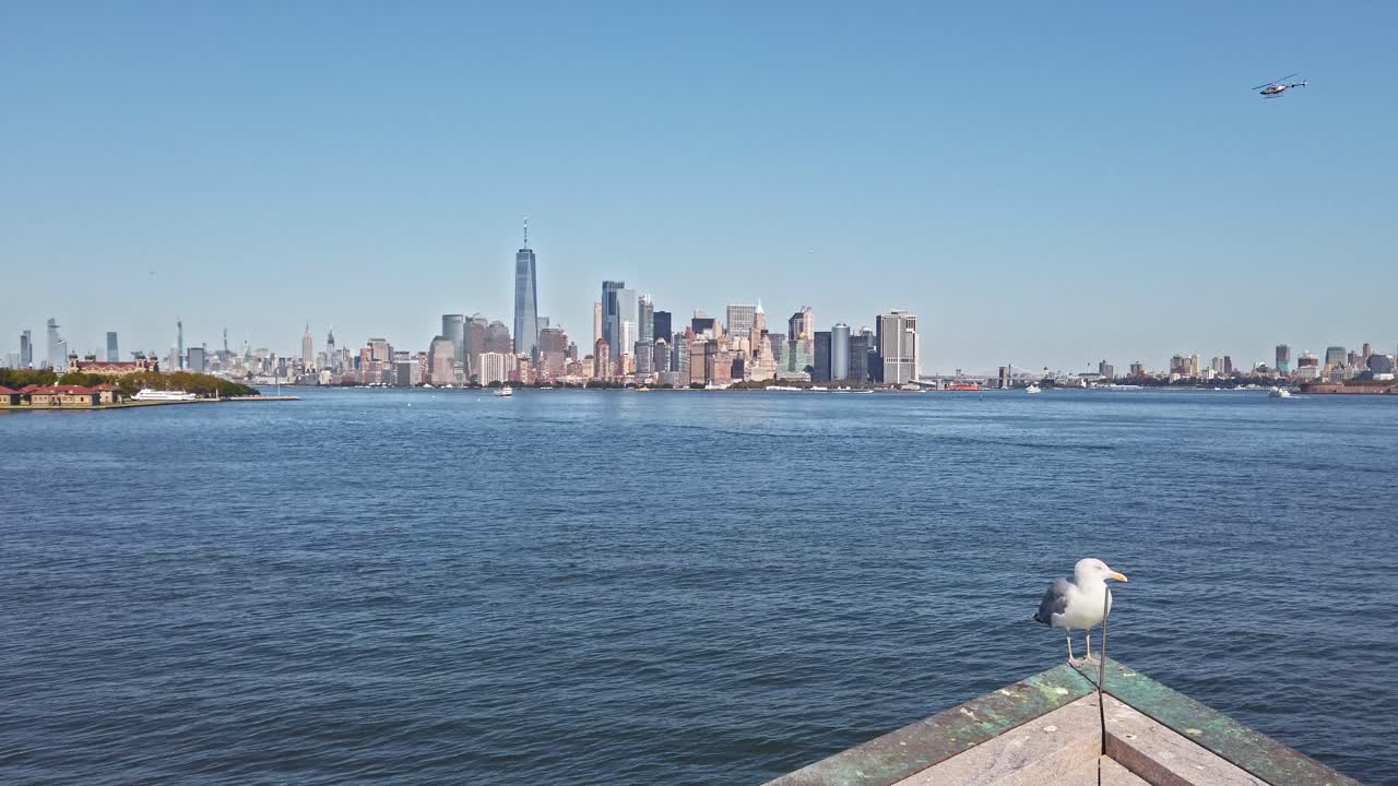 Lower Manhattan view with a ring-billed gull in foreground