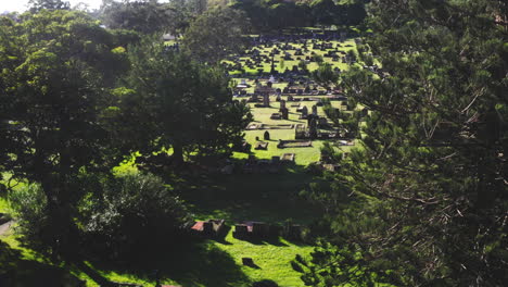 Aerial-drone-flying-around-trees-to-reveal-a-large-graveyard-cemetery-on-a-sunny-day-in-Australia