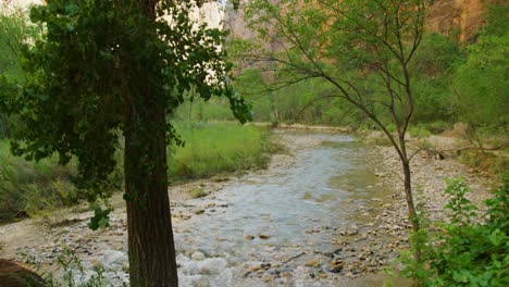 beautiful river flowing between the mountings surrounded by trees towards the camera