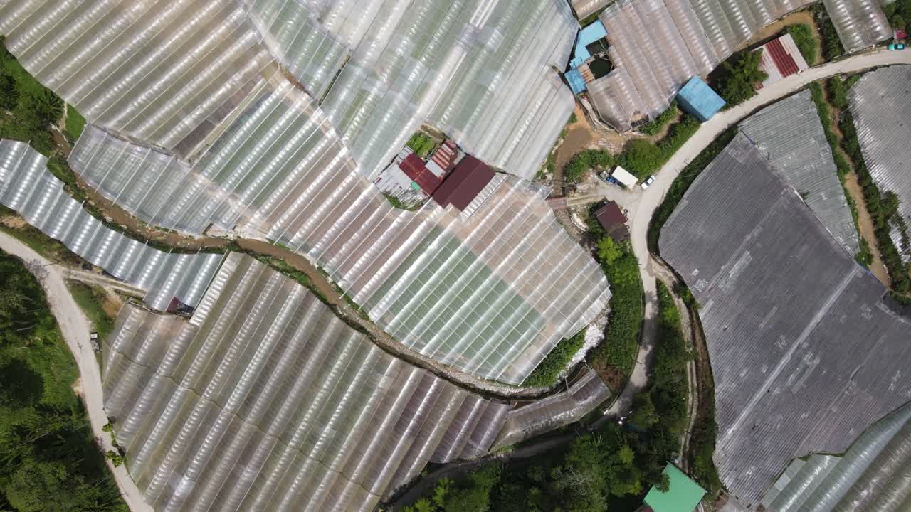 말레이시아의 카메론 하이랜드 지역 내의 브린창 지역의 일반 풍경