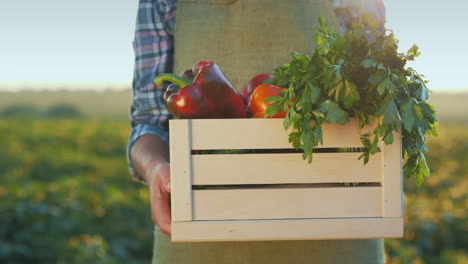 a farmer holds a box of juicy fresh vegetables from his field