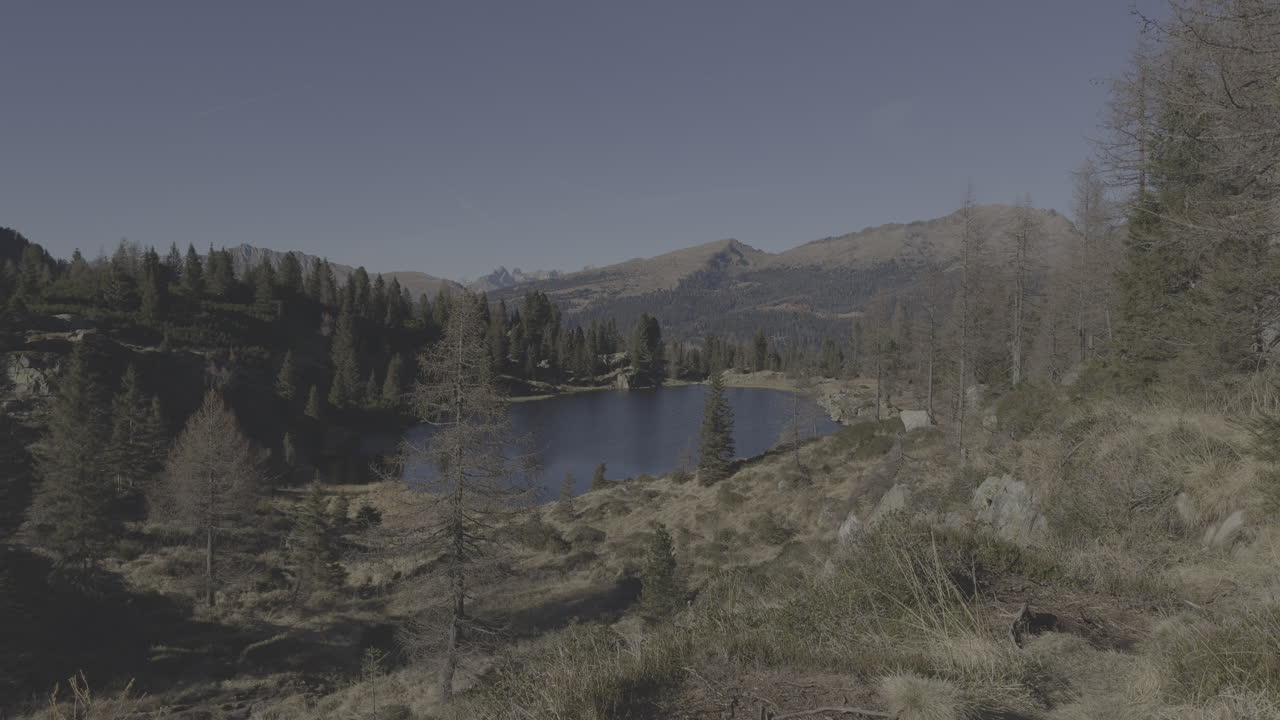 Mountain Lake in Alpine Scenery