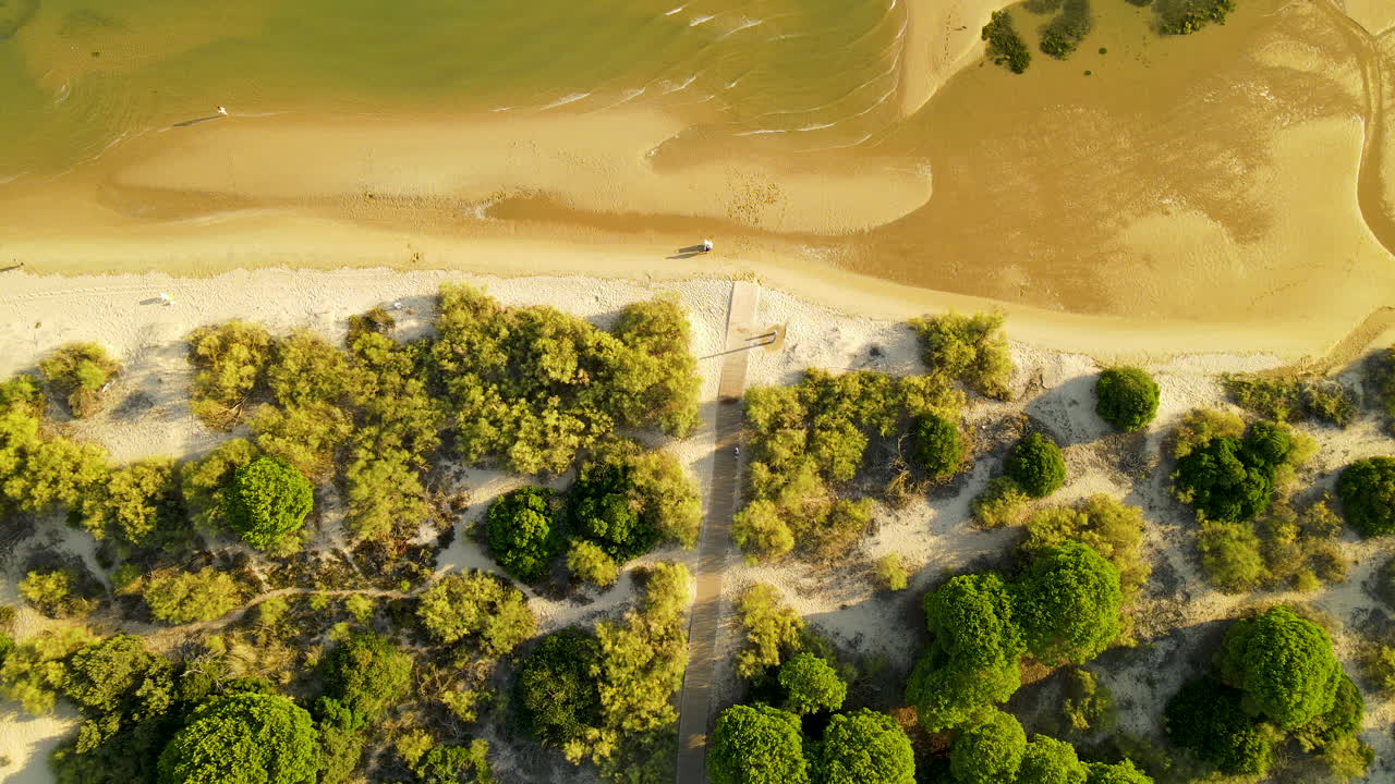 exuberantes árboles verdes que crecen en la orilla del río piedra en un día soleado cerca de el rompido, españa