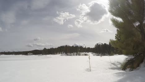 lapso de tiempo del lago desaliñado en pluma roja colorado