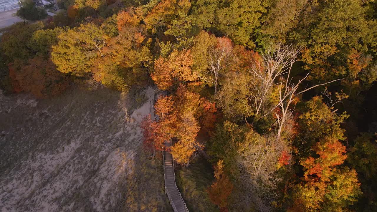 미시간 주 그랜드 헤이븐의 모래 언덕 산책로 근처의 황금빛 잎사귀