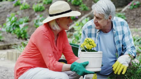 senior couple gardening