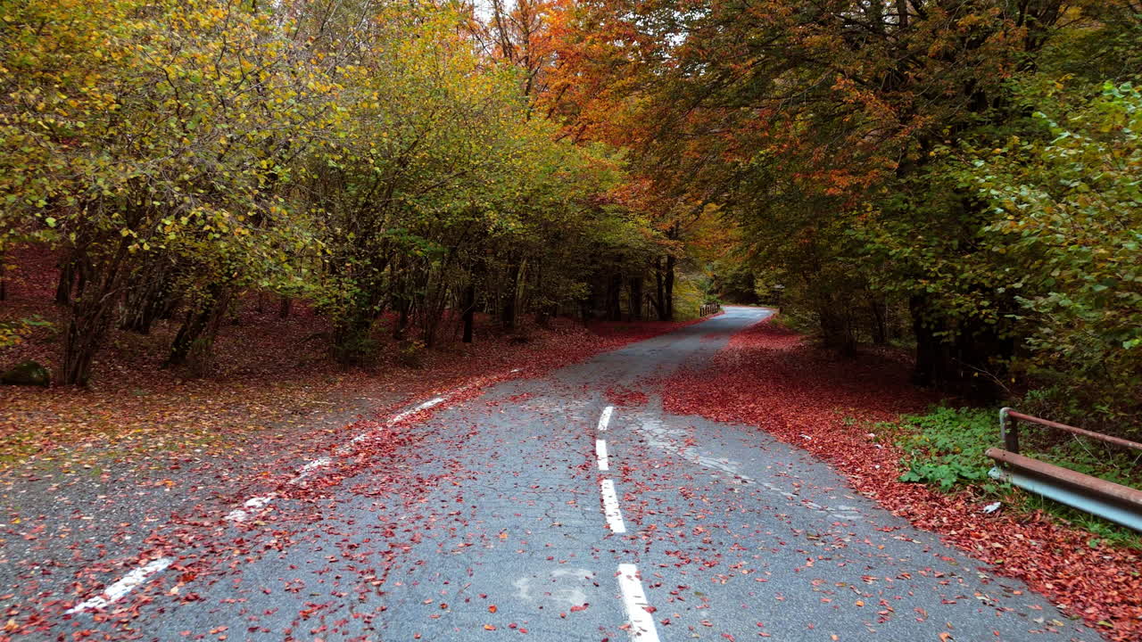 Autumn road with colorful leaves, peaceful and serene outdoor scene