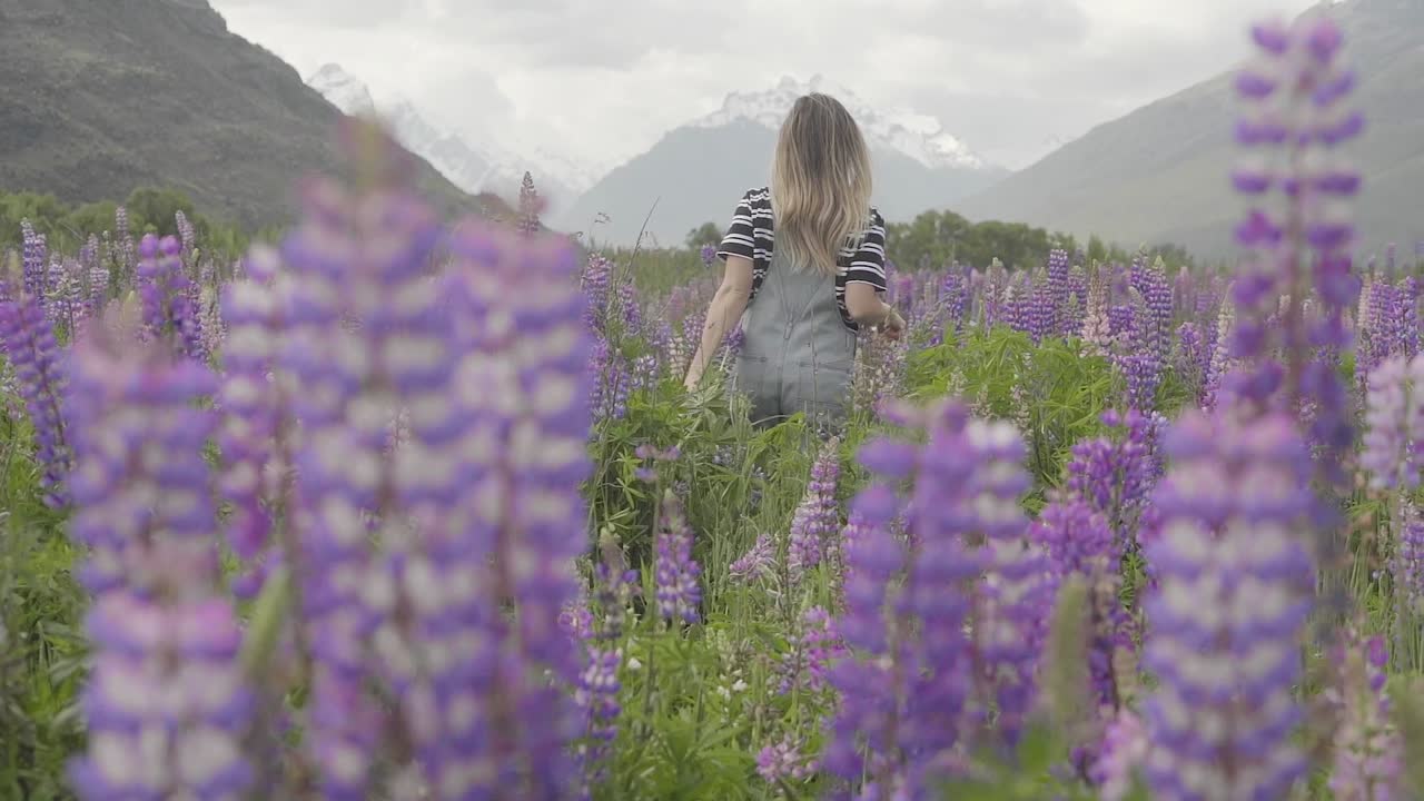 Donna che cammina attraverso un campo di lupini in montagna