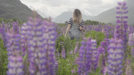 woman walking through a lupine field in the mountains