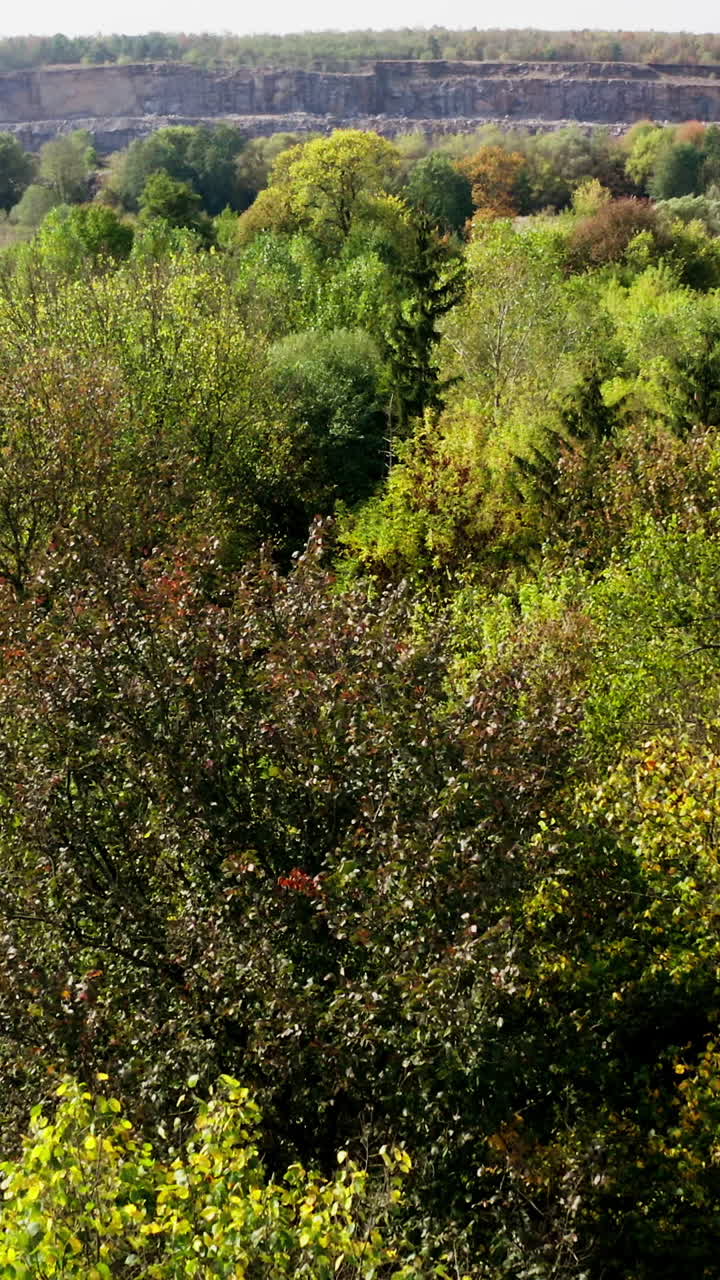 Beautiful forest in autumn. Deciduous trees on rocky canyon background. Flight over the top of colorful trees. Slow motion. Aerial view. Vertical video