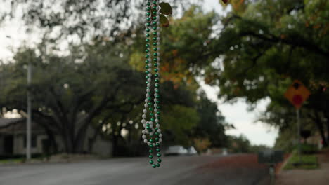 madi gras bead necklace hanging from tree in neighborhood street