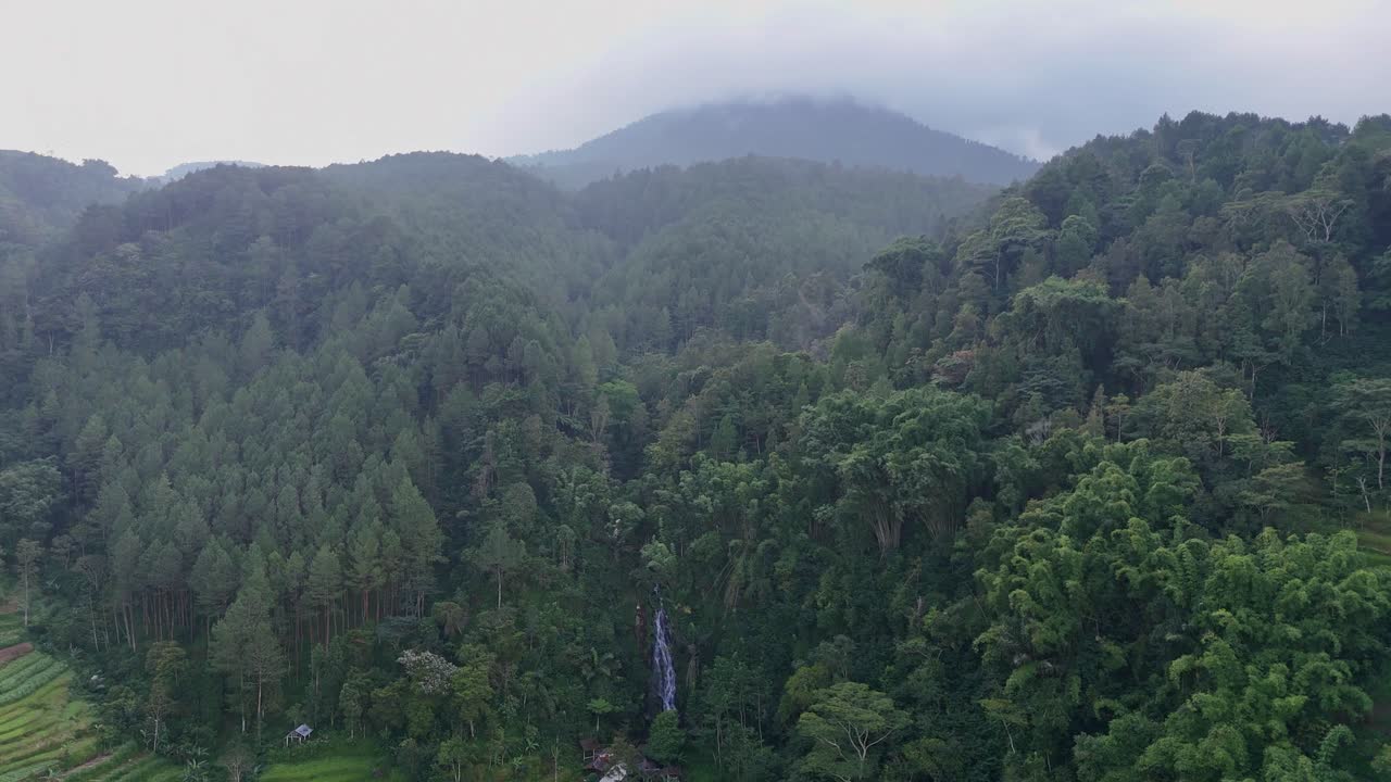 Aerial view of waterfall from densely forested cliff
