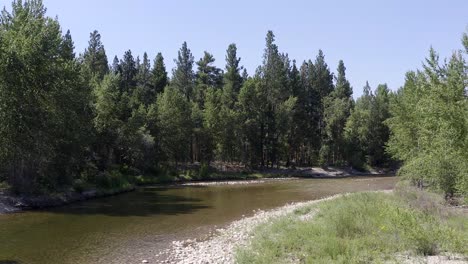 this is an aerial video pushing over a river in the wilderness in montana in the summertime