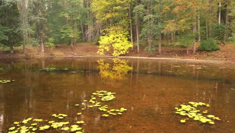 gulbene city pond and park