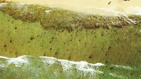 Textura-De-Mar-Amarillo-Verde-De-La-Costa-Con-Playa-Exótica-De-Arena-Bañada-Por-Olas-Que-Salpican-Los-Arrecifes-De-Coral-En-Antigua