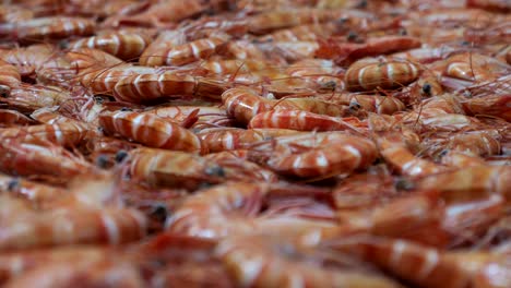 freshly caught prawns move slowly along a conveyor belt as part of the processing line, highlighting the care and cleanliness involved in preparing premium produce.