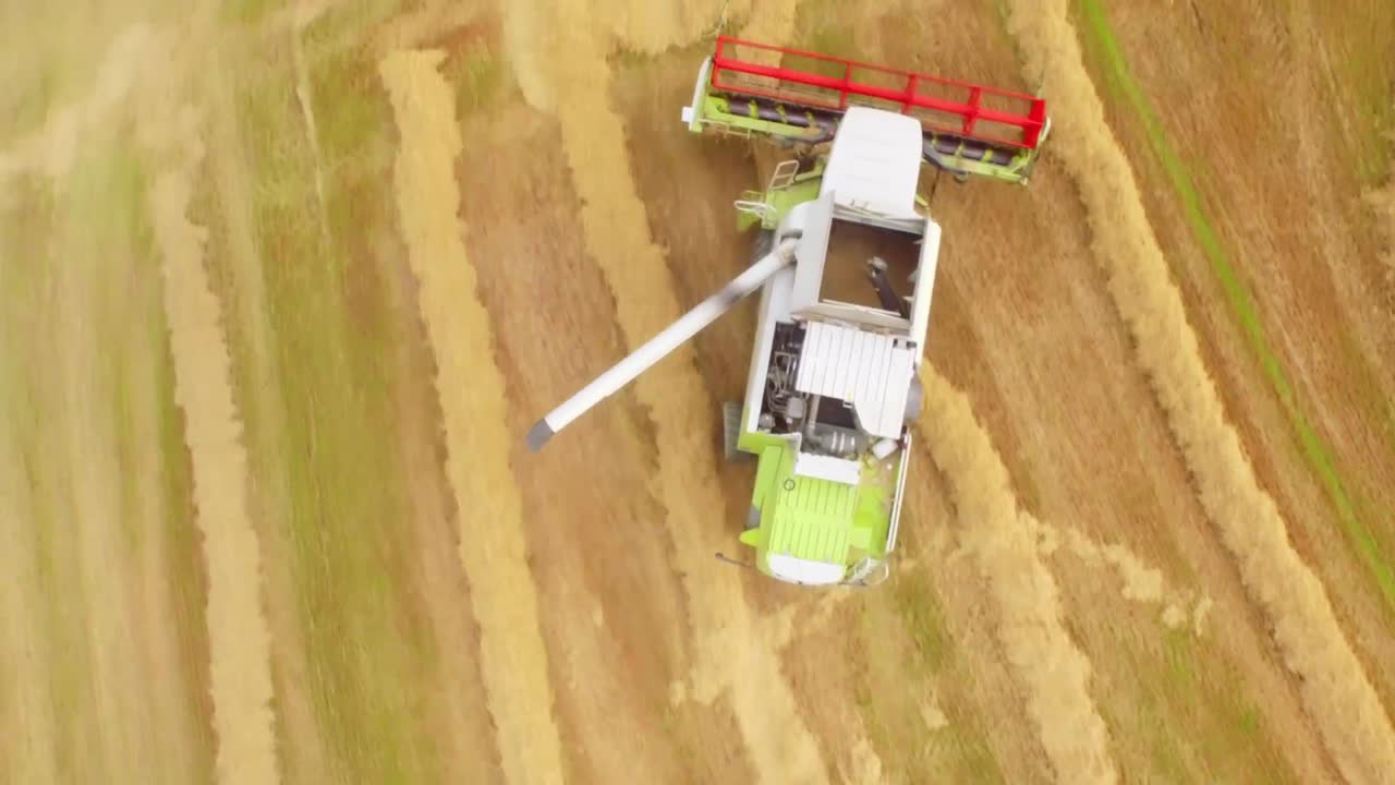 Drone footage of golden fields and combine harvester
