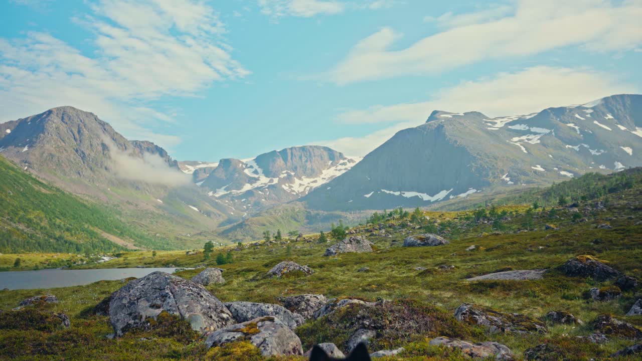 Sør Tverrfjord, Loppa kommune, Finnmark, Norge – Et fredelig landskap med grønne enger, ulendte kampesteiner og snødekte topper under en klar himmel – Håndholdt bilde