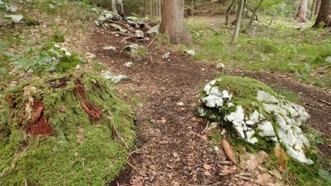 Ein-Mann,-Der-An-Einem-Bewölkten-Tag-In-Slowenien-In-Der-Nähe-Des-Dorfes-Gozd-Martuljek-Durch-Einen-Sehr-Grünen-Wald-Geht