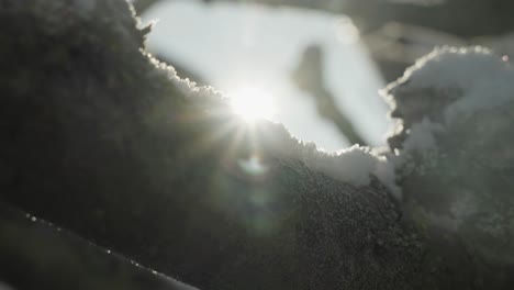 Filmische-Zeitlupe-Nahaufnahme-Von-Schnee-Auf-Einem-Ast-Im-Hellen-Sonnenlicht