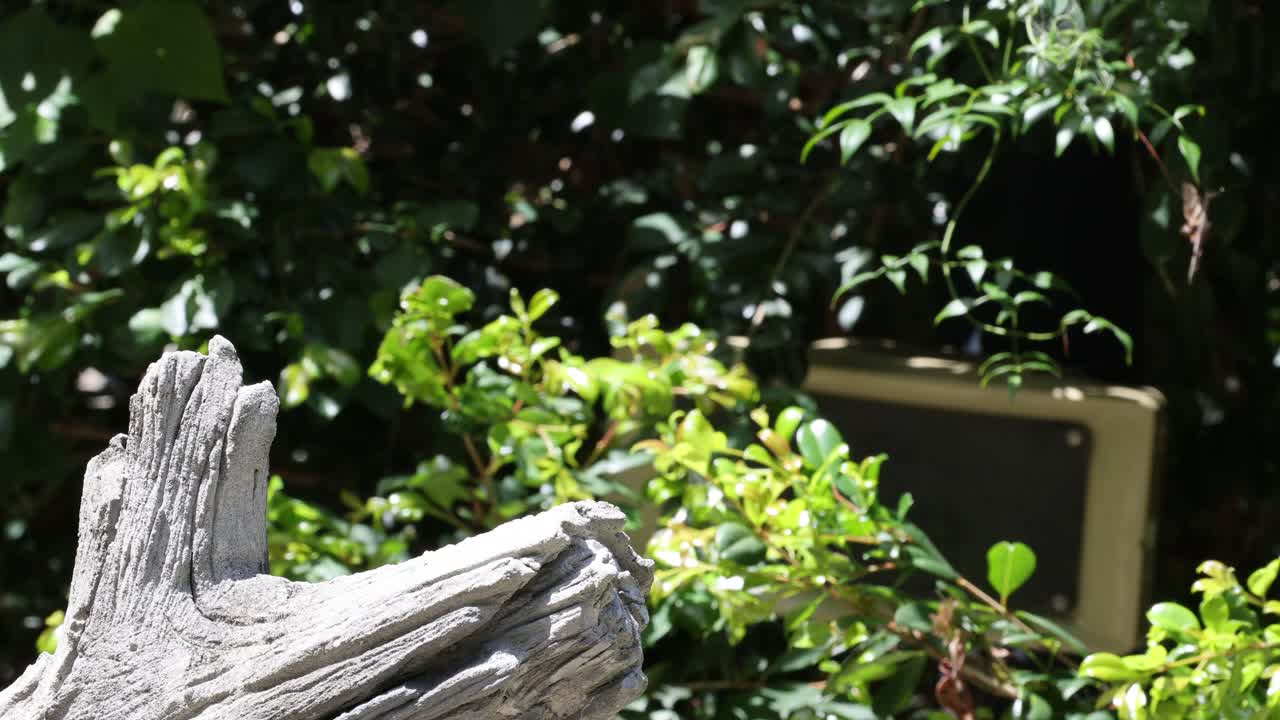 무새가 앉아서 날아갑니다.