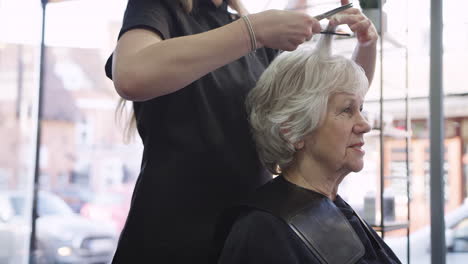 senior woman having hair cut by female stylist in hairdressing salon