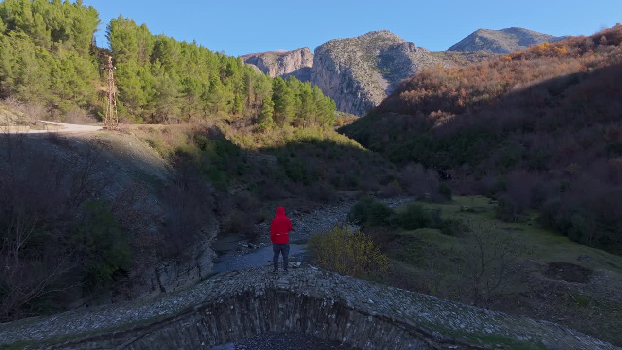 Çorovoda'da yoğun ormanda gizlenmiş taş bir köprünün drone bakış açısı.