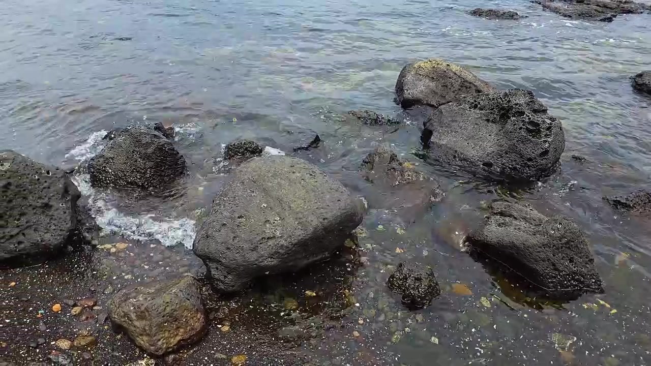 Panorering afslører mørke vulkanske basaltsten spredt ud over klare lavvandede havområder langs kystlinjen ved Sagye Strand på Jeju-øen, Sydkorea