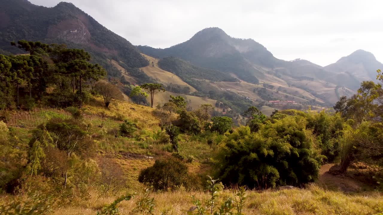 Riprese da drone di un allevamento di bestiame sudamericano, brasiliano, sulle colline di Sao Bento do Sapucaí.